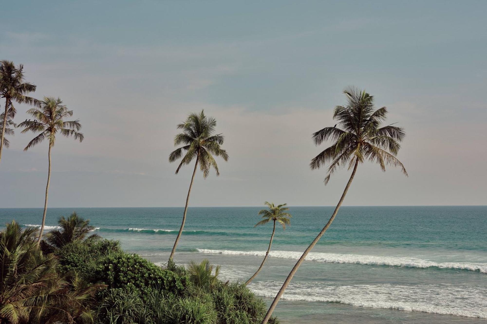 Gitano Surf Ahangama Beachfront Ngoại thất bức ảnh